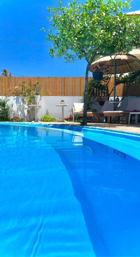 Amoudara Lasithiou Rodi Blue Apartments المظهر الخارجي الصورة